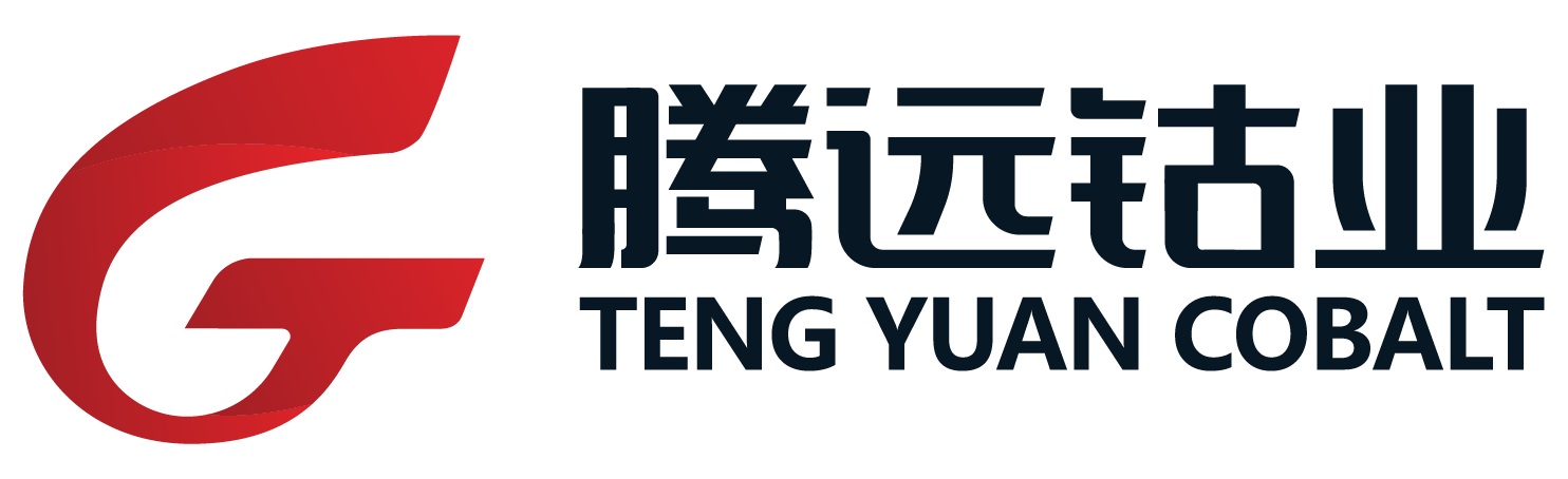 赣州w66最给利老牌钴业新材料股份有限公司